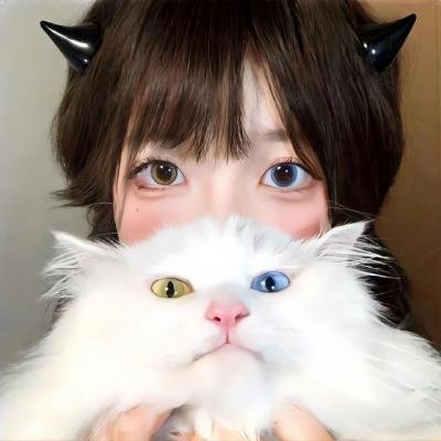 黄金蜘蛛城 在线观看